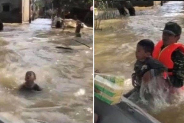 Lũ về khiến đàn trâu bất đắc dĩ phải bơi lên mái nhà, bây giờ lũ rút, chủ nhà dở khóc dở cười không biết đưa chúng xuống làm sao?-2