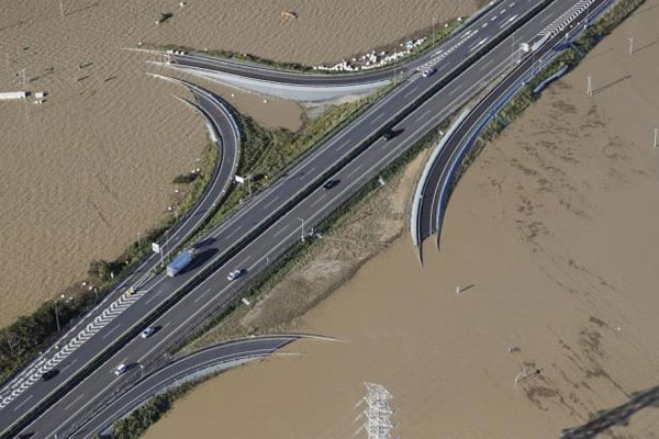 Tận mắt chứng kiến cơn mưa đom đóm thắp sáng rực khu bảo tồn về đêm, nhiếp ảnh gia ghi lại khoảnh khắc khiến dân tình mãn nhãn-3