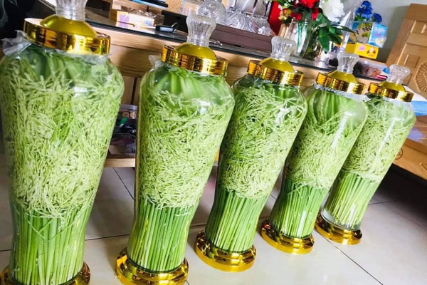 Cỏ dại đầy đồng quê thành hàng sang chảnh hút khách Hà thành-3