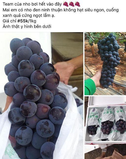 5 loại nho siêu rẻ, siêu ngọt đang làm mưa làm gió trên thị trường: Bật mí nguồn gốc-1