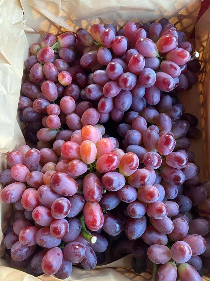 5 loại nho siêu rẻ, siêu ngọt đang làm mưa làm gió trên thị trường: Bật mí nguồn gốc-5