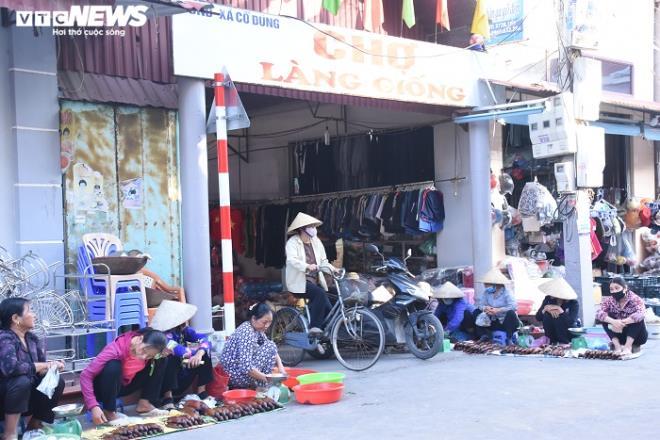 Làng bắt chuột đồng ở Hải Dương ngày chính vụ làm đến đâu hết đến đấy-1