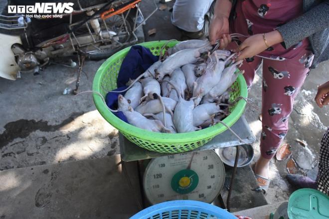 Làng bắt chuột đồng ở Hải Dương ngày chính vụ làm đến đâu hết đến đấy-9