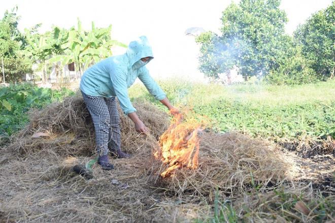 Làng bắt chuột đồng ở Hải Dương ngày chính vụ làm đến đâu hết đến đấy-11