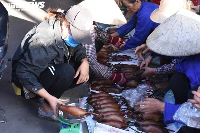 Làng bắt chuột đồng ở Hải Dương ngày chính vụ làm đến đâu hết đến đấy-2