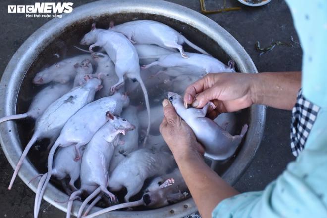 Làng bắt chuột đồng ở Hải Dương ngày chính vụ làm đến đâu hết đến đấy-7