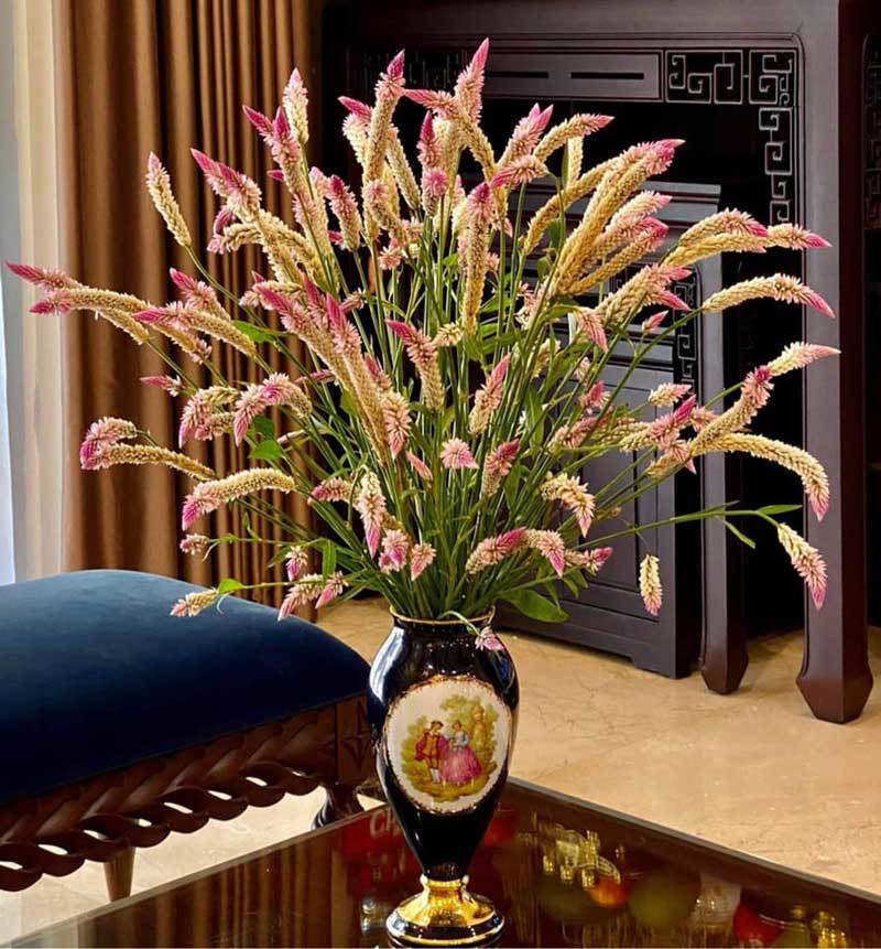 Cỏ dại đầy đồng quê thành hàng sang chảnh hút khách Hà thành-2