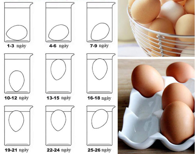 Luộc trứng tưởng là dễ nhưng liệu chị em đã biết cách luộc trứng chín theo từng cấp độ chưa?-1