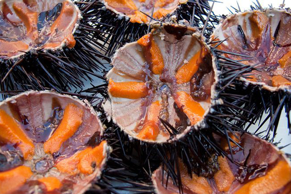 Được ví như thần dược phòng the, ngọc dương dê giá cả triệu vẫn cháy hàng-4