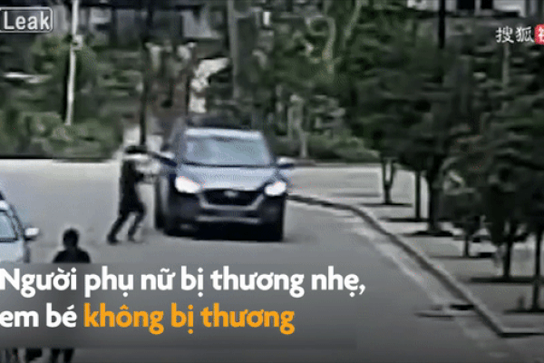 Lặn biển bắt cua hoàng đế bằng tay không-1