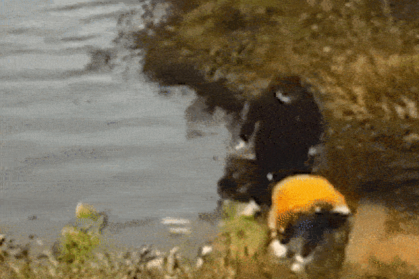 Gạ quan hệ với chồng của cháu gái bất thành, người phụ nữ bị nghi dìm chết bé trai 1 tháng tuổi để hả giận gây phẫn nộ-3