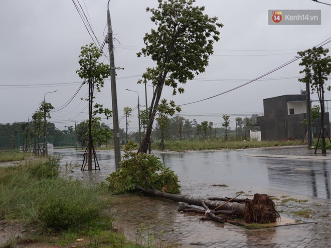 Bão số 9 đổ bộ: Gió giật mạnh ở Quảng Ngãi, đã có nhà bị tốc mái; phong toả một phần Quốc lộ 1A khiến hàng trăm xe ùn tắc-3