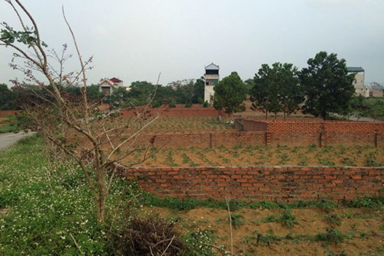 Nóng ruột lao vào cơn sốt, tin lời đưa đẩy mất oan 300 triệu