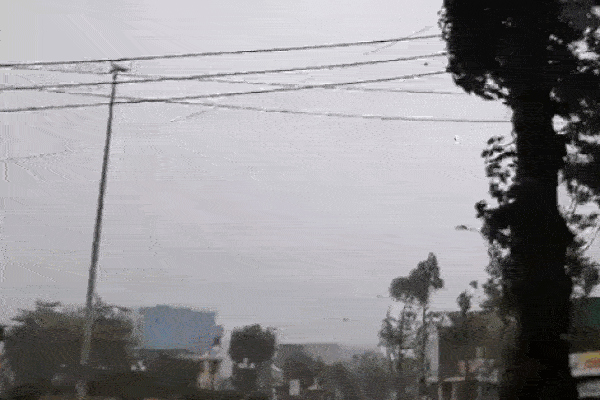 Hai người chết, 5 người bị thương ở Quảng Ngãi do bão số 9-3