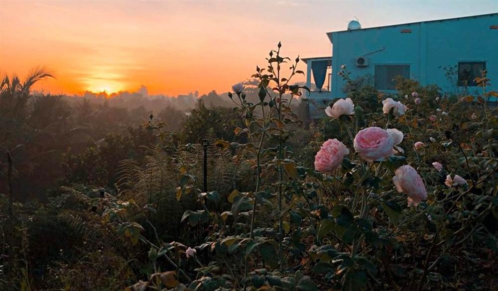 Cậu bé bóc mít thuê năm nào giờ là ông chủ vườn hồng đẹp như cổ tích-3