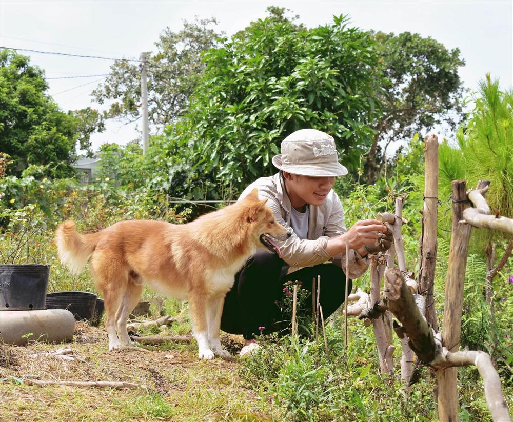 Cậu bé bóc mít thuê năm nào giờ là ông chủ vườn hồng đẹp như cổ tích-6