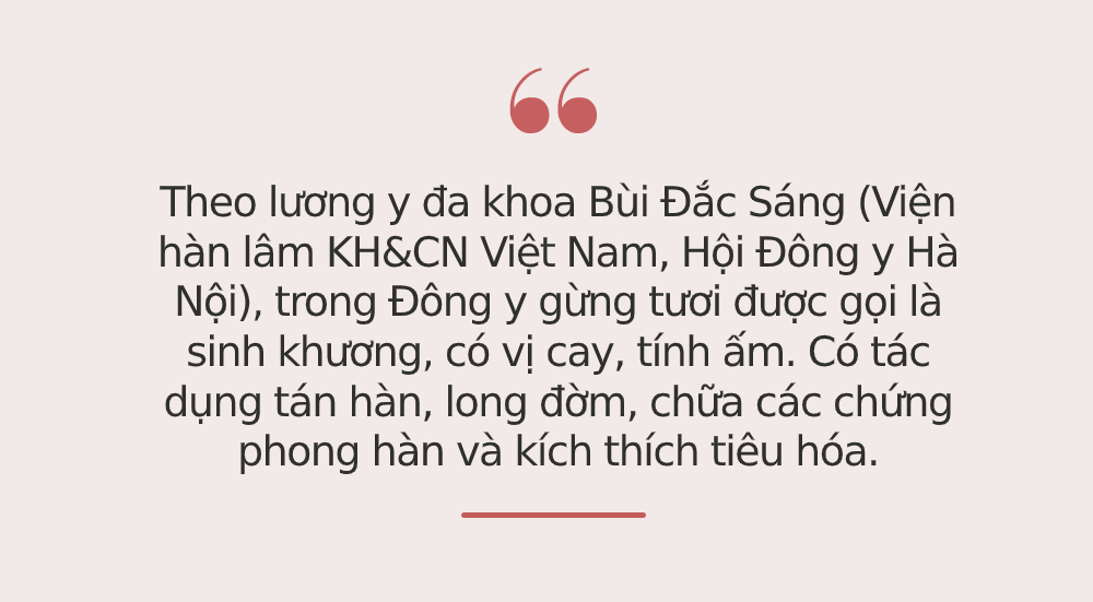 Ở Việt Nam có 3 loại củ rẻ như cho nhưng công dụng lại sánh ngang thuốc quý, loại thứ 2 có thể chống được 8 loại ung thư nhưng ít ai biết-2