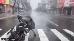 Gió bão quật muốn nhấc người, nam thanh niên gồng mình dắt xe vào lề đường ở Đà Nẵng-1
