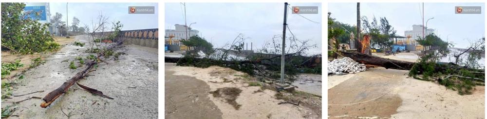 Những hình ảnh đầu tiên tại đảo Lý Sơn khi bão số 9 đi qua: Mọi thứ đều tan hoang, người dân thất thần bên đống đổ nát-5