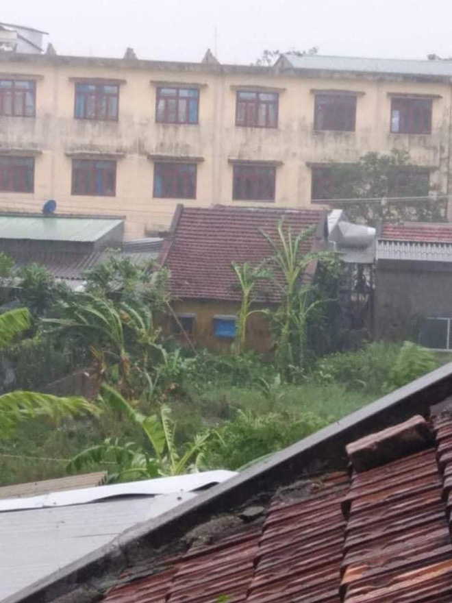 Trường học tan hoang, tốc mái, cây cối đổ la liệt chặn ngang lối đi khi bão số 9 ập đến-5