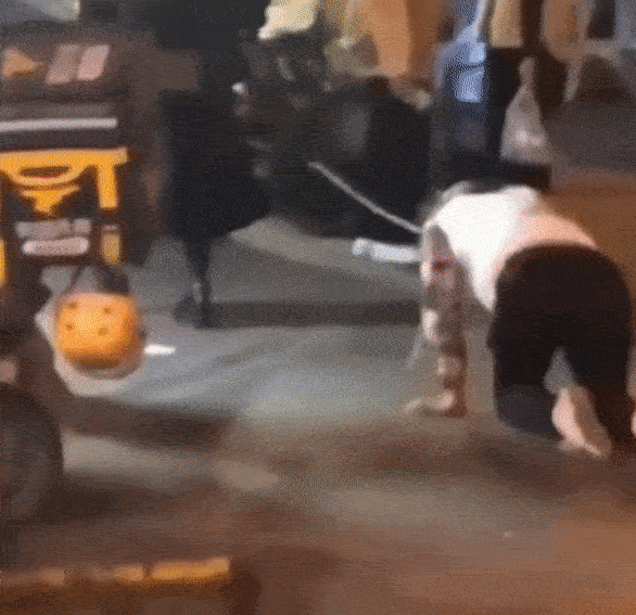 Cô gái xích cổ chàng trai rồi kéo đi trên đường gây chú ý, chưa rõ thực hư nhưng đã khiến dân mạng sôi máu-1