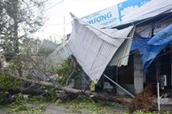 Sau bão số 9, đường phố Đà Nẵng, Quang Nam tan hoang không ngờ