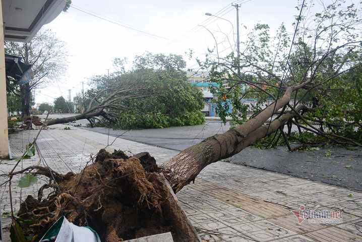 Sau bão số 9, đường phố Đà Nẵng, Quang Nam tan hoang không ngờ-1