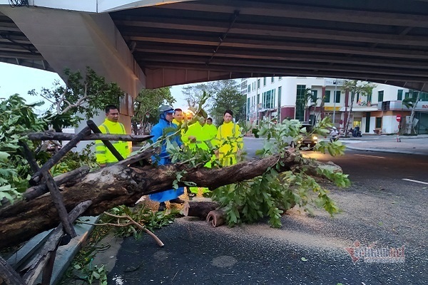 Sau bão số 9, đường phố Đà Nẵng, Quang Nam tan hoang không ngờ-18