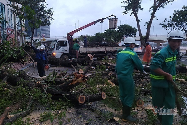 Sau bão số 9, đường phố Đà Nẵng, Quang Nam tan hoang không ngờ-19