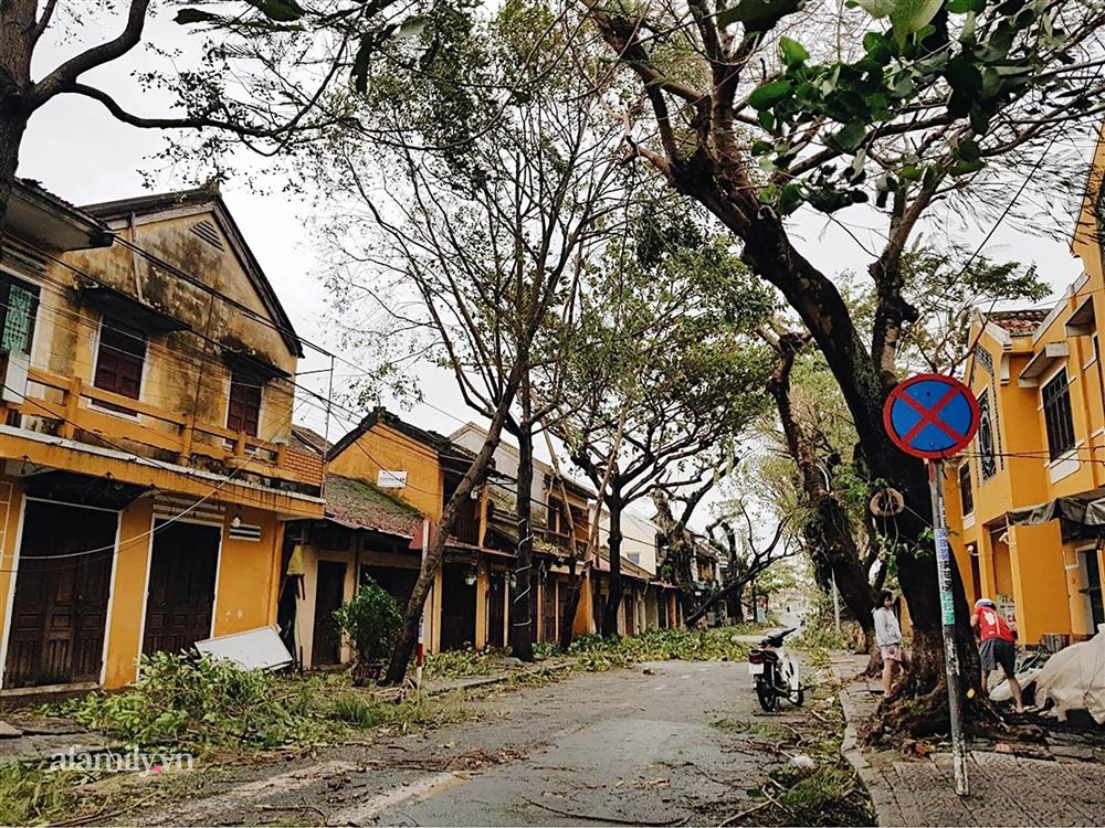 Hội An tan hoang sau bão số 9, những rặng hoa giấy rực rỡ ngày thường nay bỗng hóa xác xơ, nước sông Hoài dâng lên ngập cả nhiều tuyến đường trung tâm phố cổ-1