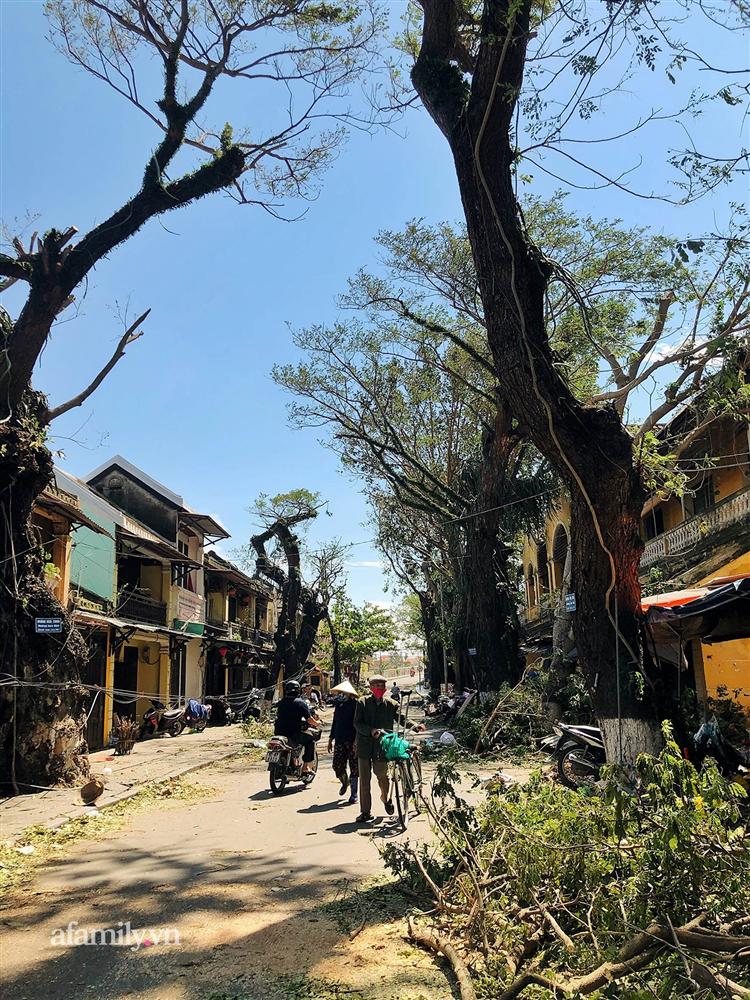 Hội An tan hoang sau bão số 9, những rặng hoa giấy rực rỡ ngày thường nay bỗng hóa xác xơ, nước sông Hoài dâng lên ngập cả nhiều tuyến đường trung tâm phố cổ-2