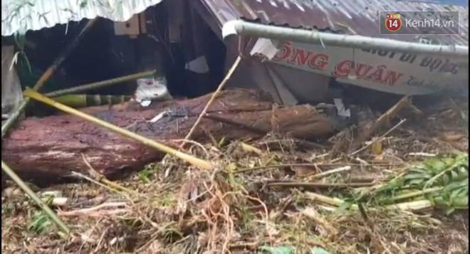 Clip: Những hình ảnh đầu tiên về hiện trường vụ sạt lở khiến 8 người chết ở xã Trà Vân, Nam Trà My-4