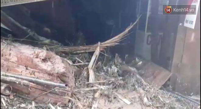 Clip: Những hình ảnh đầu tiên về hiện trường vụ sạt lở khiến 8 người chết ở xã Trà Vân, Nam Trà My-3