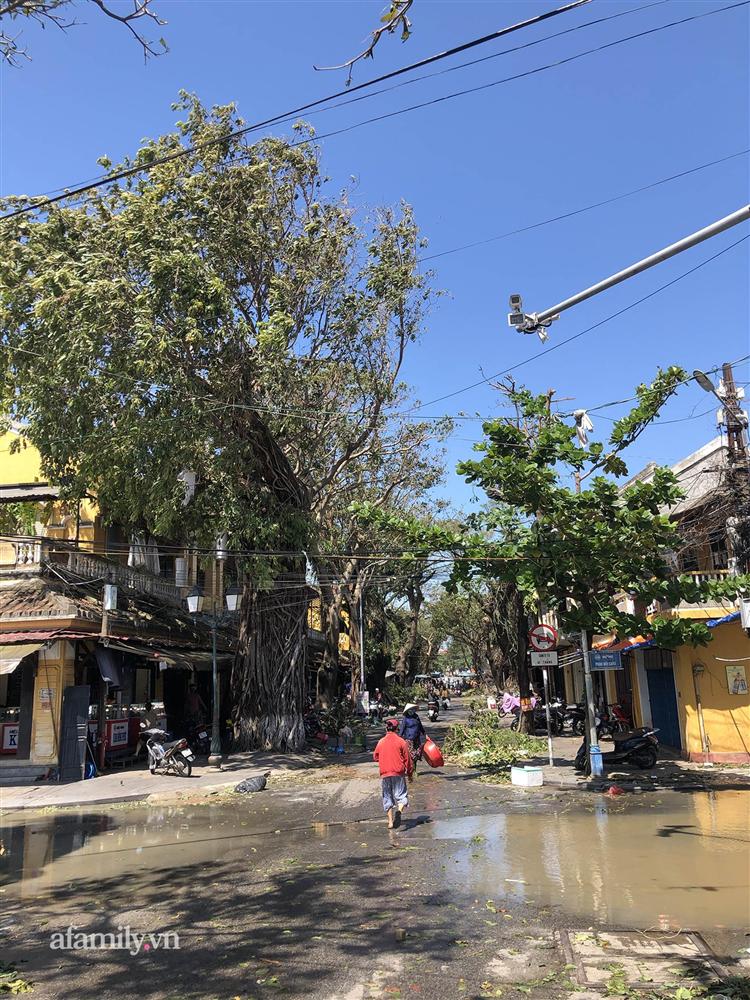 Hội An tan hoang sau bão số 9, những rặng hoa giấy rực rỡ ngày thường nay bỗng hóa xác xơ, nước sông Hoài dâng lên ngập cả nhiều tuyến đường trung tâm phố cổ-7