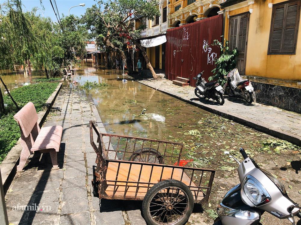 Hội An tan hoang sau bão số 9, những rặng hoa giấy rực rỡ ngày thường nay bỗng hóa xác xơ, nước sông Hoài dâng lên ngập cả nhiều tuyến đường trung tâm phố cổ-8