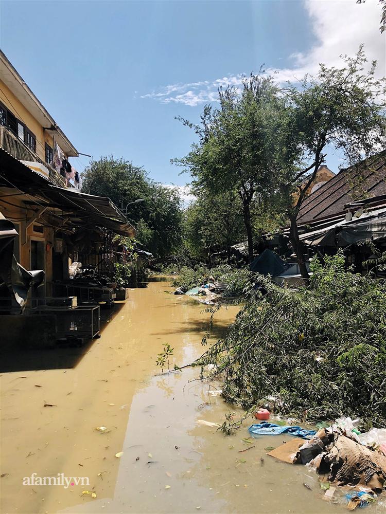 Hội An tan hoang sau bão số 9, những rặng hoa giấy rực rỡ ngày thường nay bỗng hóa xác xơ, nước sông Hoài dâng lên ngập cả nhiều tuyến đường trung tâm phố cổ-9
