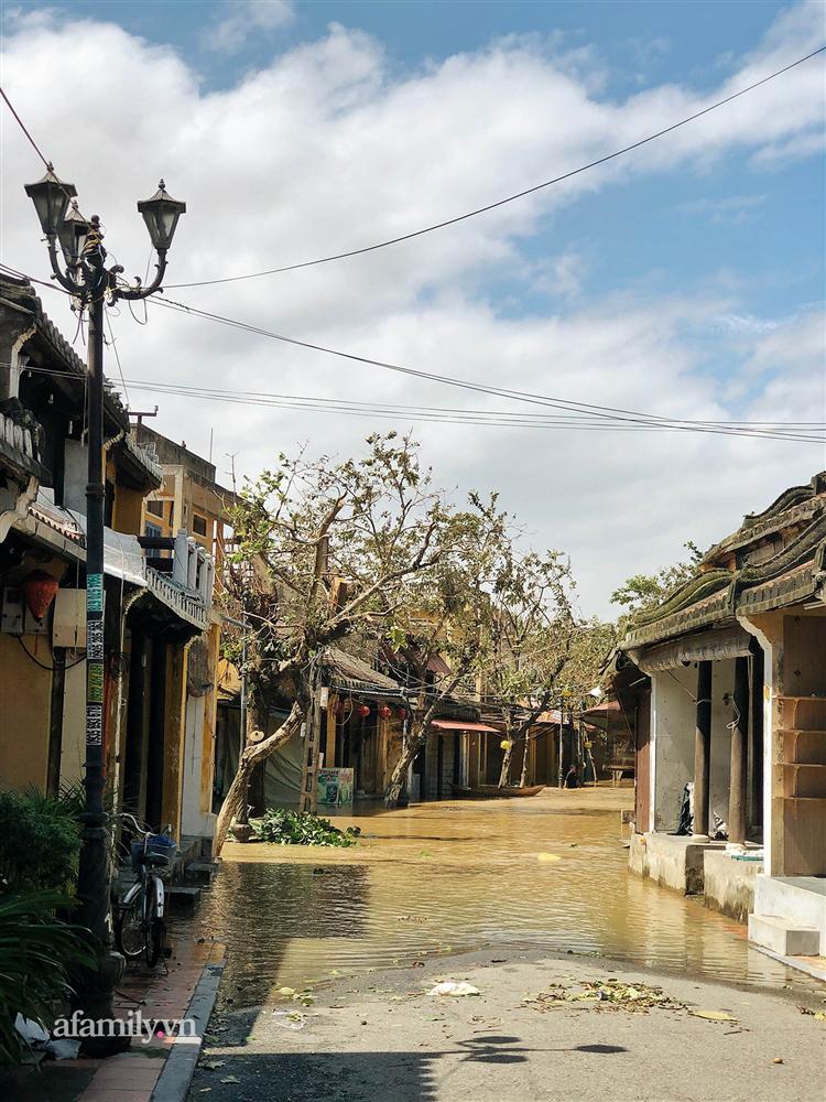 Hội An tan hoang sau bão số 9, những rặng hoa giấy rực rỡ ngày thường nay bỗng hóa xác xơ, nước sông Hoài dâng lên ngập cả nhiều tuyến đường trung tâm phố cổ-11