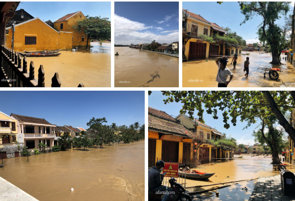 Hội An tan hoang sau bão số 9, những rặng hoa giấy rực rỡ ngày thường nay bỗng hóa xác xơ, nước sông Hoài dâng lên ngập cả nhiều tuyến đường trung tâm phố cổ-6