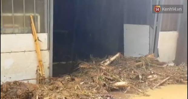 Clip: Những hình ảnh đầu tiên về hiện trường vụ sạt lở khiến 8 người chết ở xã Trà Vân, Nam Trà My-5