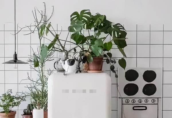 Sử dụng tủ lạnh theo cách này, không chỉ làm hỏng tủ mà còn ngốn điện hơn cả điều hòa-4