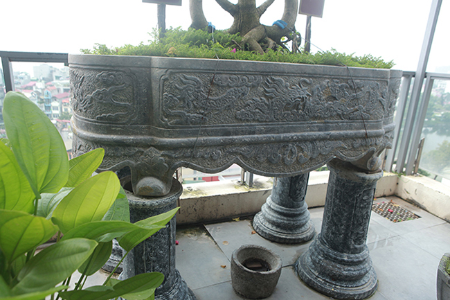 Độc đáo nhất Việt Nam: Uốn si cổ thành chữ Song hỷ, Ngũ phúc rồi bán giá tiền tỷ-7