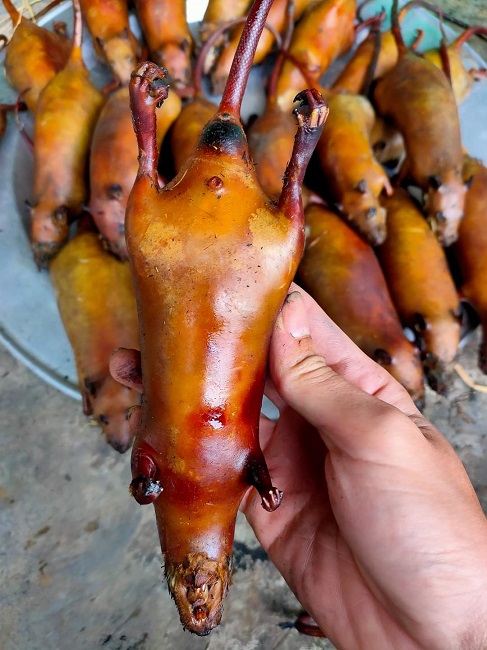 Chuột đồng thành đặc sản đắt hơn thịt lợn, người dân đi bắt kiếm tiền triệu mỗi ngày-5