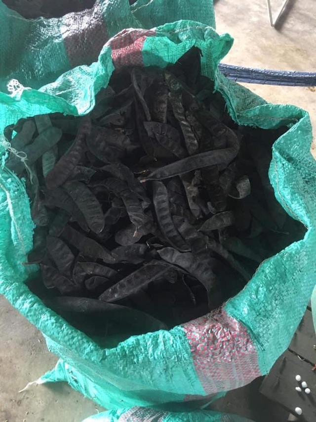 Hà Nội: Cháy hàng bồ kết, khách giành nhau từng quả về xông nhà-3