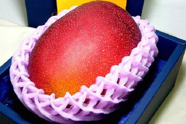 Sửng sốt với loại quả đắt đỏ, cắn một miếng bay ngay tiền triệu-2