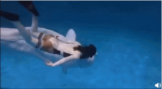 6 năm bị bắt làm nô lệ tình dục, bị giam cầm đánh đập làm trò mua vui và đó chưa phải là tất cả sự hành hạ mà động vật phải gánh chịu-1