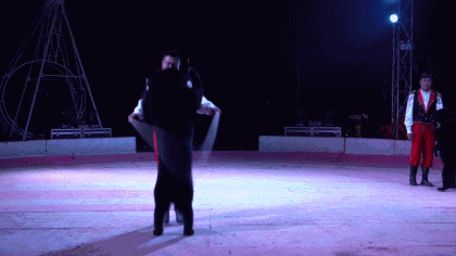 6 năm bị bắt làm nô lệ tình dục, bị giam cầm đánh đập làm trò mua vui và đó chưa phải là tất cả sự hành hạ mà động vật phải gánh chịu-3