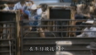 6 năm bị bắt làm nô lệ tình dục, bị giam cầm đánh đập làm trò mua vui và đó chưa phải là tất cả sự hành hạ mà động vật phải gánh chịu-6