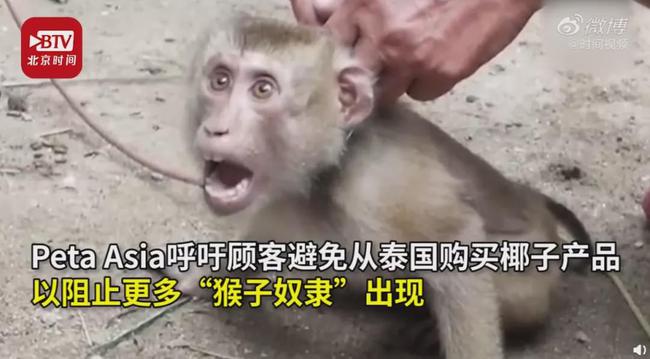 6 năm bị bắt làm nô lệ tình dục, bị giam cầm đánh đập làm trò mua vui và đó chưa phải là tất cả sự hành hạ mà động vật phải gánh chịu-9