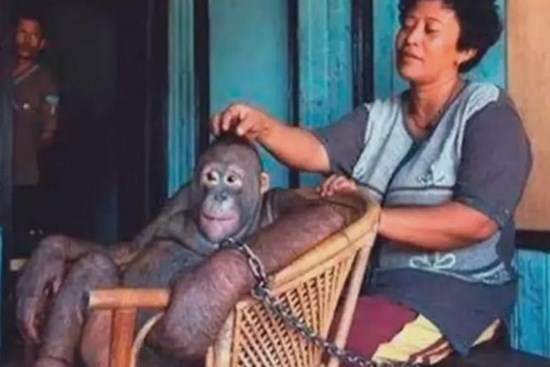 6 năm bị bắt làm nô lệ tình dục, bị giam cầm đánh đập làm trò 