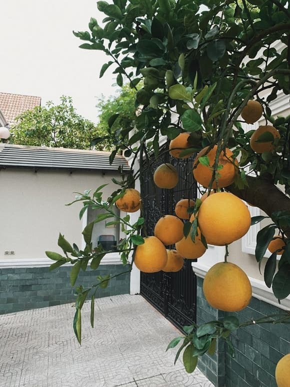 Tăng Thanh Hà đăng ảnh chào buổi sáng, hé lộ thêm góc sang chảnh trong biệt thự-10